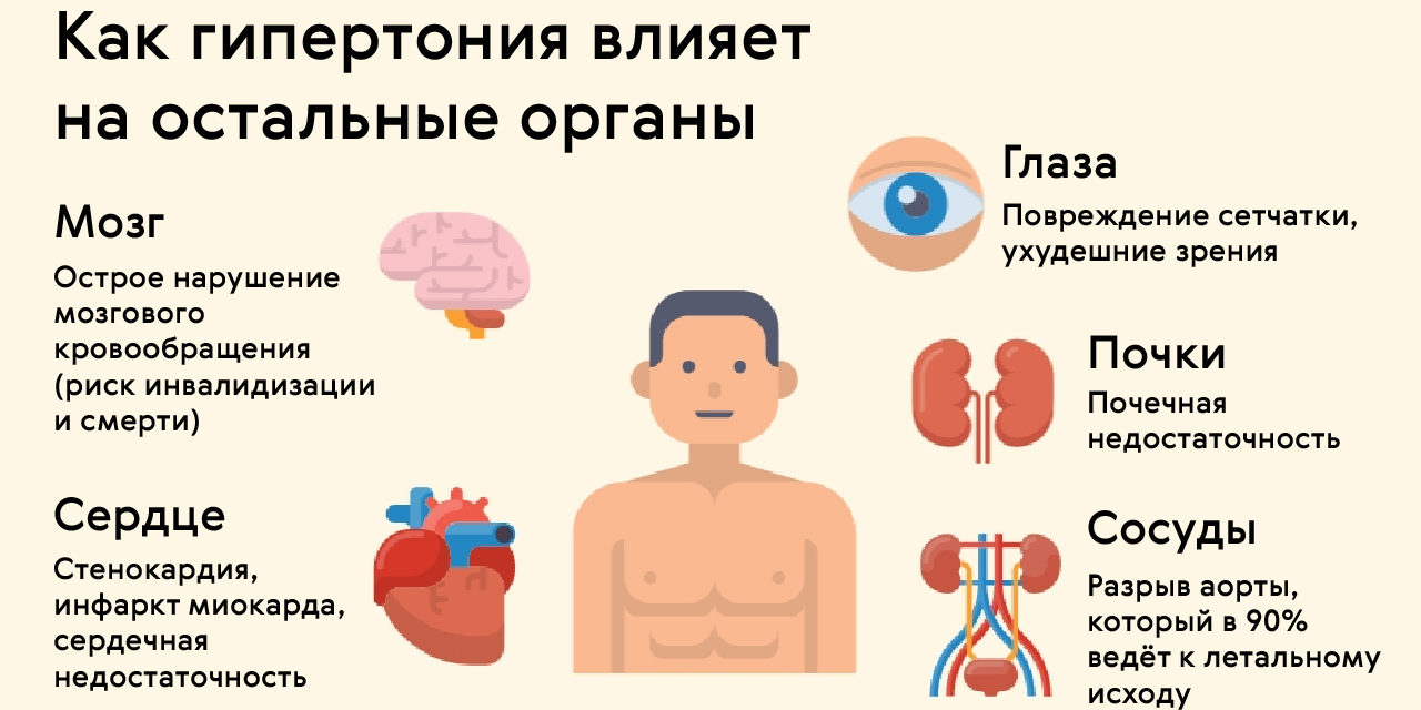 Профилактика артериальной гипертонии — БУ РК Республиканская больница им.  П. П. Жемчуева